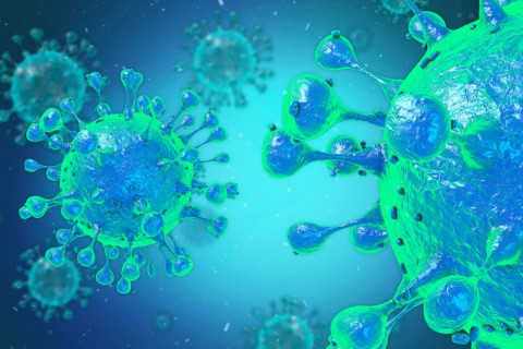 Veja os sintomas e como prevenir a febre oropouche