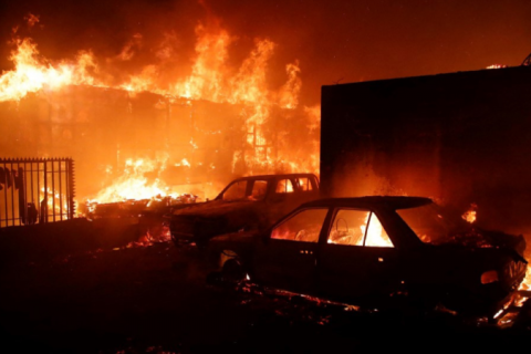 Chile teve mais de 4.200 hectares de floresta nativa queimados após incêndios