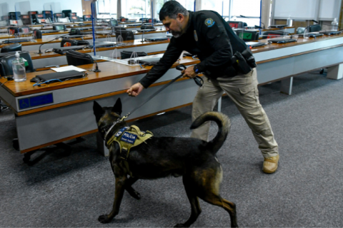 Polícia do Senado faz varredura com cão farejador no STF prestes ao julgamento do núcleo 1