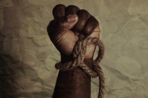 STF valida lei que pune empresas por trabalho escravo