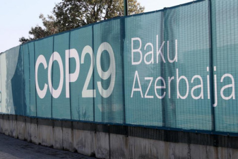 Agronegócio brasileiro reforçará compromisso ambiental na COP29