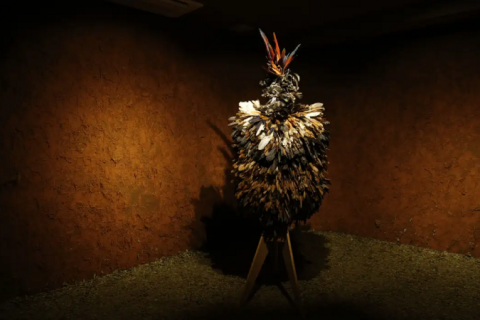 Artefatos indígenas retidos na França voltam ao Brasil após 20 anos