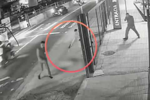 Cachorro comunitário é morto com dez tiros na zona leste de SP