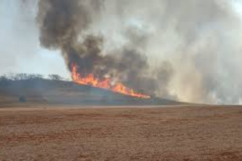 Estado de SP já registra 434 focos de incêndios neste mês