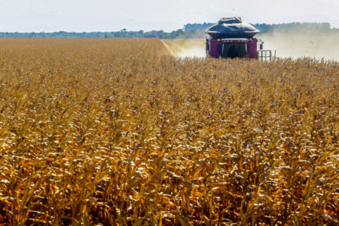 Agronegócio gaúcho pagará mais impostos a partir de abril