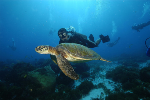 Amazônia Azul: riqueza submersa e desafios para a sustentabilidade