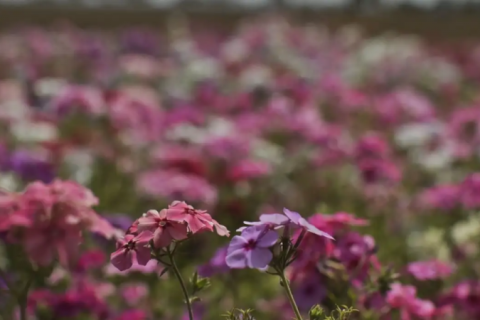 Primavera começa em meio à chegada de frente fria, com temporais e ventos fortes