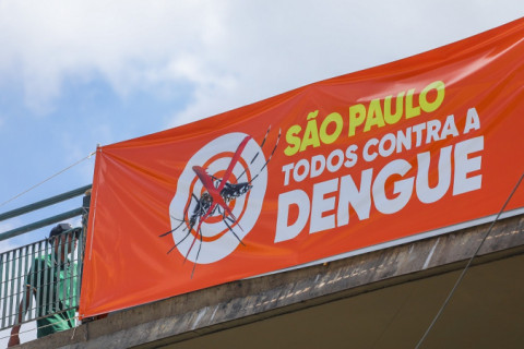 Brasil registra em uma semana mais casos de dengue do que 21 países das Américas