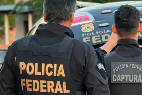 Operação da PF em Guarulhos impede tráfico de animais silvestres