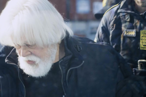 Paul Watson, maior ativista contra a caça de baleias do mundo, é preso na Dinamarca
