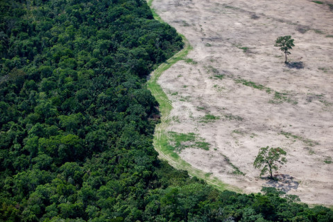 Alerta de desmatamento na Amazônia sobe 55% em abril