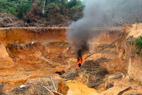 Mortes na Terra Indígena Yanomami caem 33% no 1º trimestre do ano