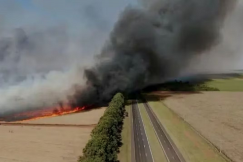 Pará decreta situação de emergência e proíbe queimadas no Estado