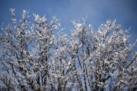 Previsão do tempo: máxima de 21° em São Paulo e risco de geada no Sul do Brasil