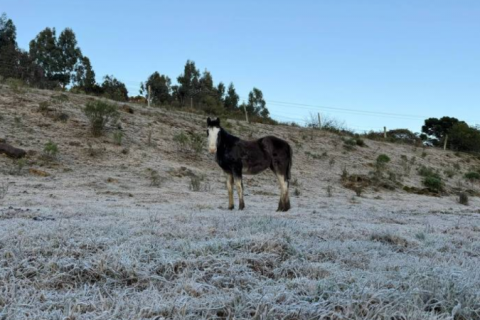 Ciclone e frente fria levam temporais e ventos fortes para a região Sul