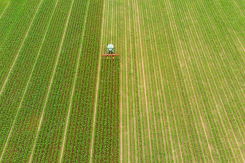 Agropecuária paulista registra superávit de US$ 14,4 bilhões em 2023