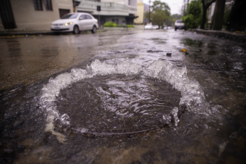 Rio Grande do Sul tem 1.380 casos notificados de leptospirose, quatro mortes confirmadas e 10 em investigação